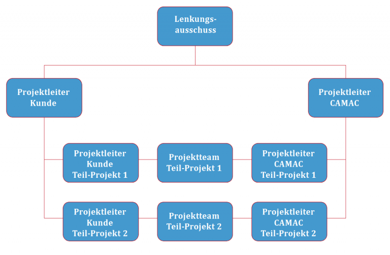 Projektmanagement: Mögliche Projektstrukturen in CAMAC-Projekten